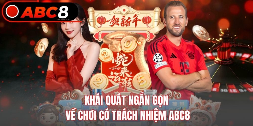 Khái quát ngắn gọn về chơi có trách nhiệm Abc8